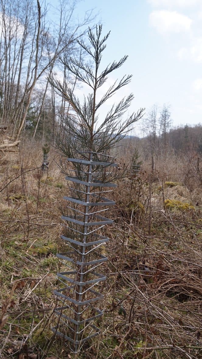 GroMM Einzelschützer — R. Mann