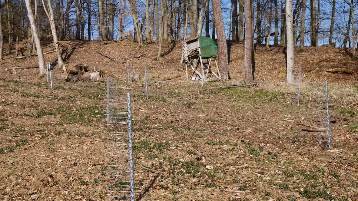 GroMM Einzelschützer — D. Schamrin