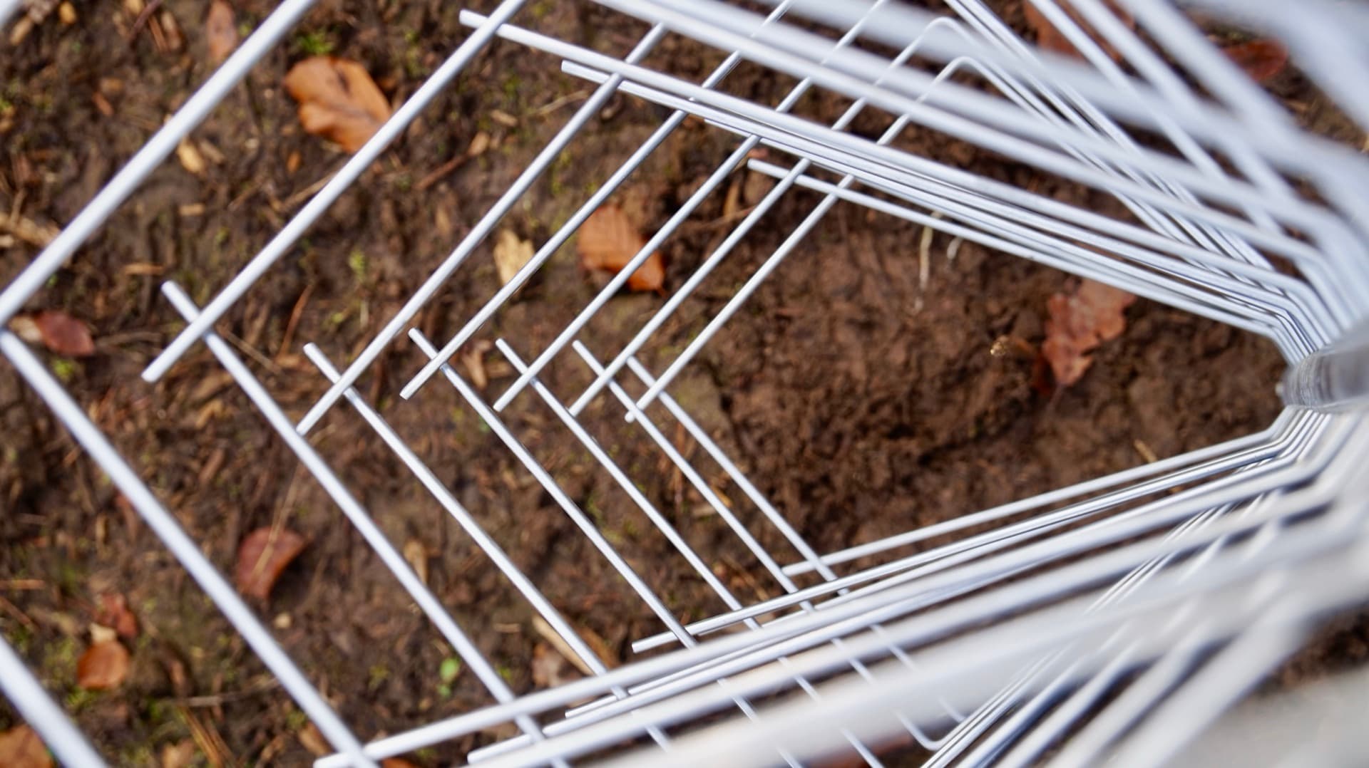 GroMM Einzelschützer Draufsicht auf die Scherdorne
