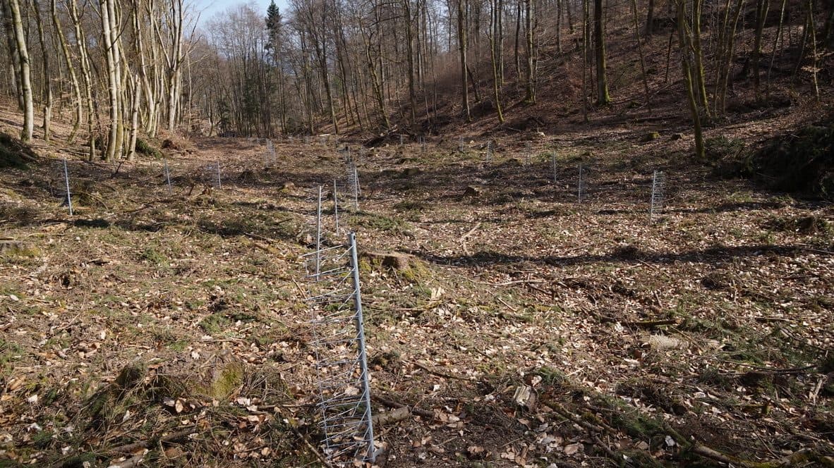 GroMM Einzelschützer in Reihen auf einer Kulturfläche